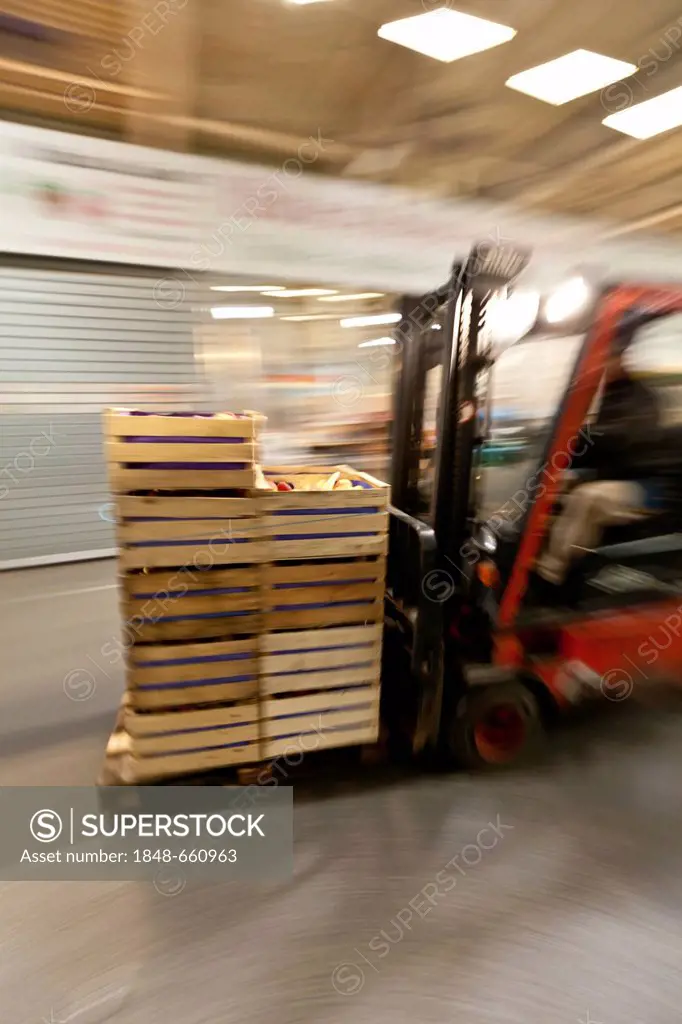 A forklift moves goods in the wholesale for fresh produce, fruits and vegetables, Frankfurt, Hesse, Germany, Europe