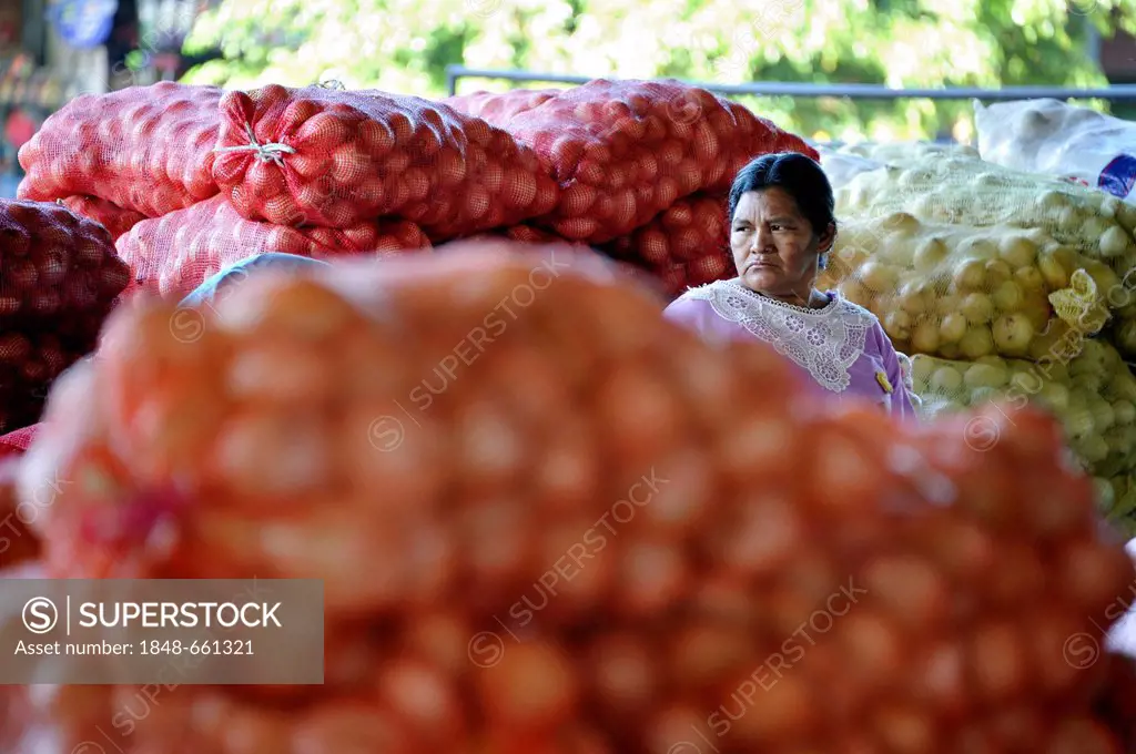 Vendor, in CENMA, vegetable wholesale market in the south of Guatemala City, Guatemala, Central America