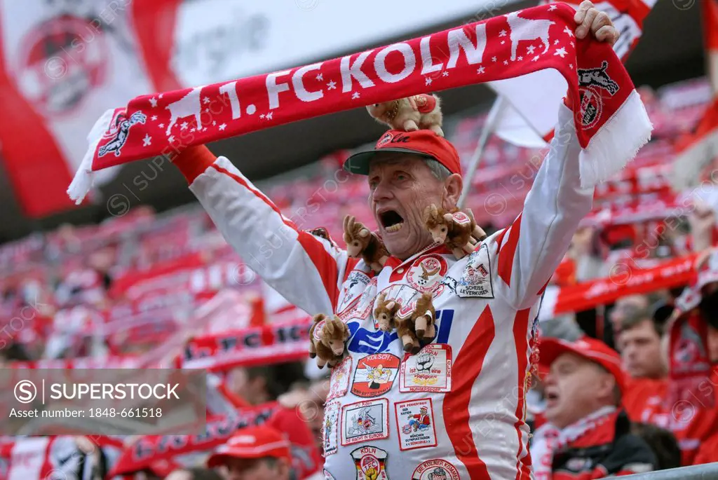Cologne fans cheering their team at the start of the game, Bundesliga federal league, 1. FC Koeln - FSV Mainz 05 4:2, Rhein-Energie-Stadion, Cologne, ...