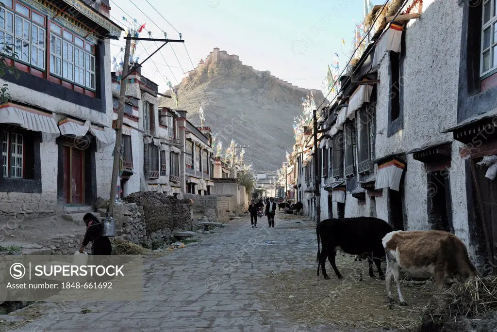 Alley in the old town of Gyantse with a view of the Dzong, Gyantse, Gyangze, Tibet, China, Asia