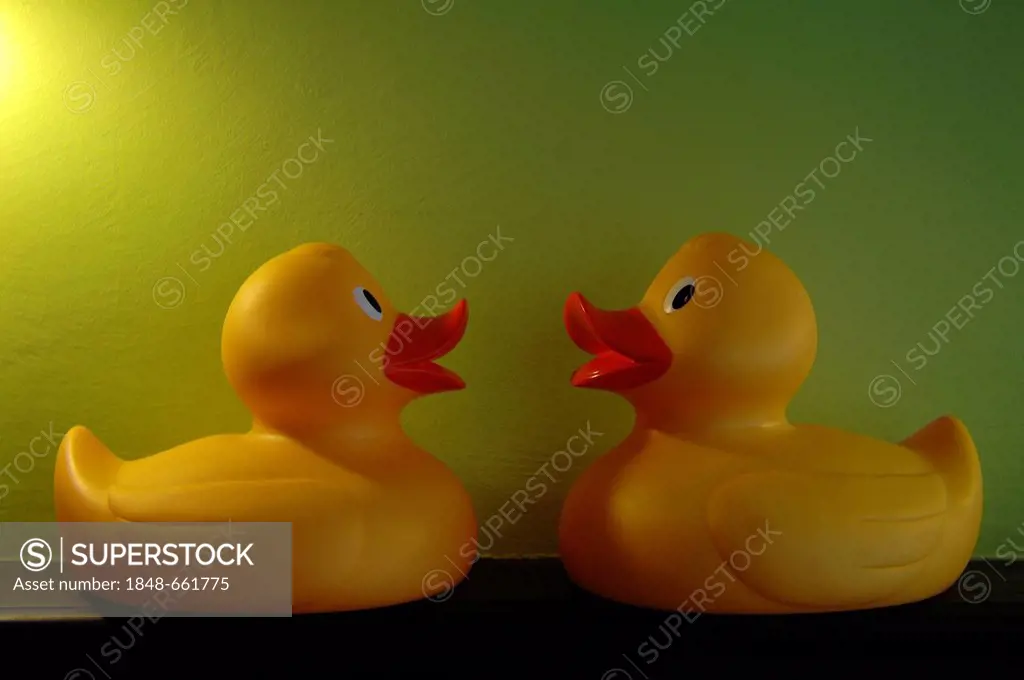 Two rubber ducks, bathroom decorations