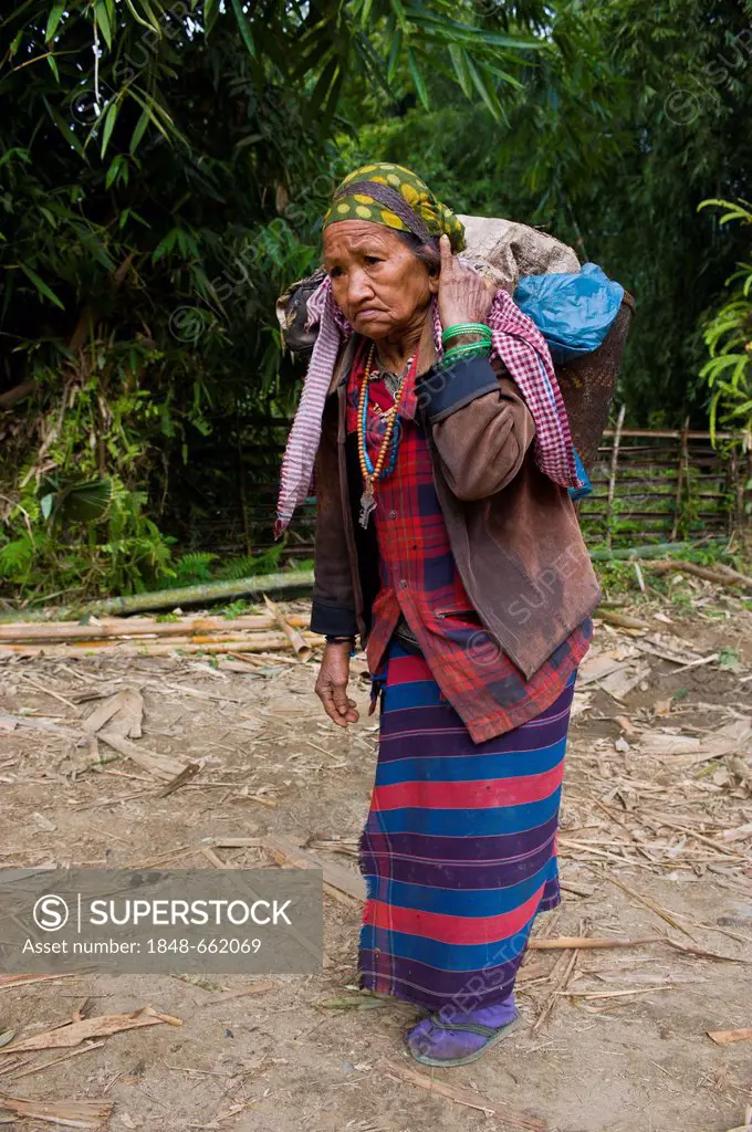 Woman from the Adi Gallong ethnic group carrying wood on her back, Along, Arunachal Pradesh, North East India, India, Asia