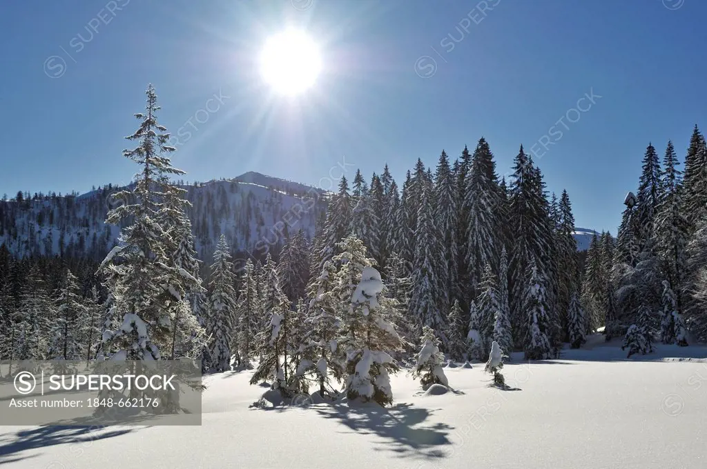 Winter landscape, Hemmersuppenalm alp, Reit im Winkl, Chiemgau, Bavaria, Germany, Europe
