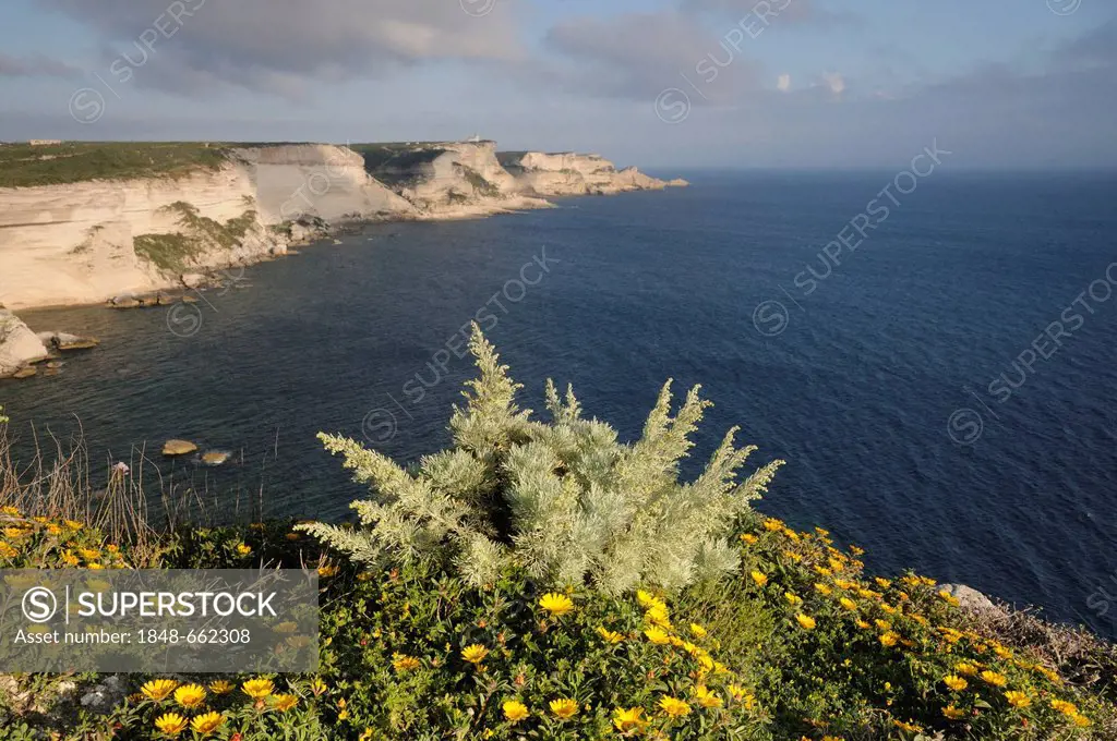 Cliffs in Bonifacio or Bunifaziu, Corsica, France, Europe