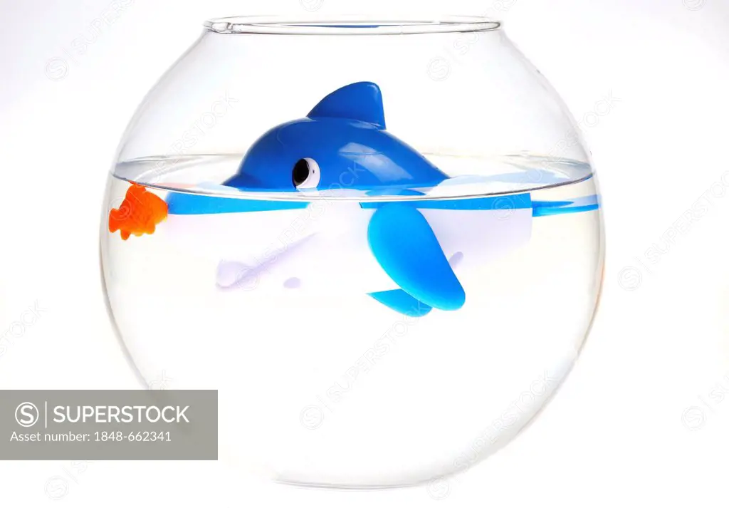 Wind-up water toys, dolphin in a fish bowl, illustration
