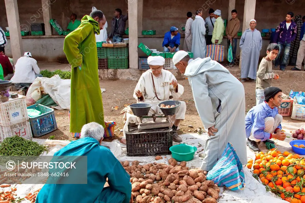 Men wearing Djellabas, traditional robes, on the vegetable market in Tinezouline, Draa valley, Morocco, Africa