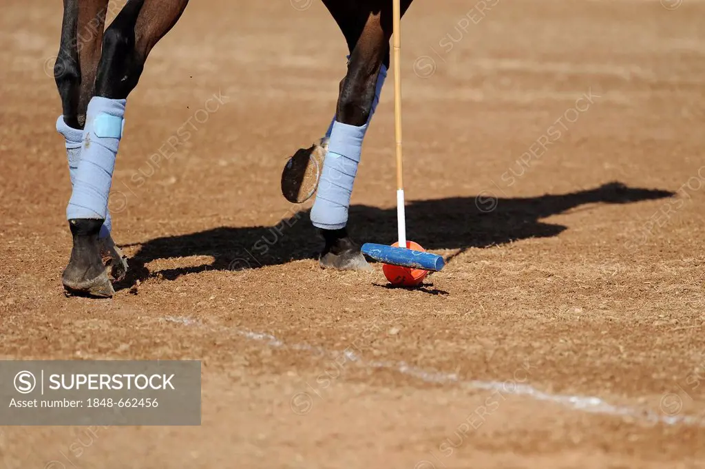 A polo player is hitting the slightly larger Arena Ball, Ibiza, Spain, Europe