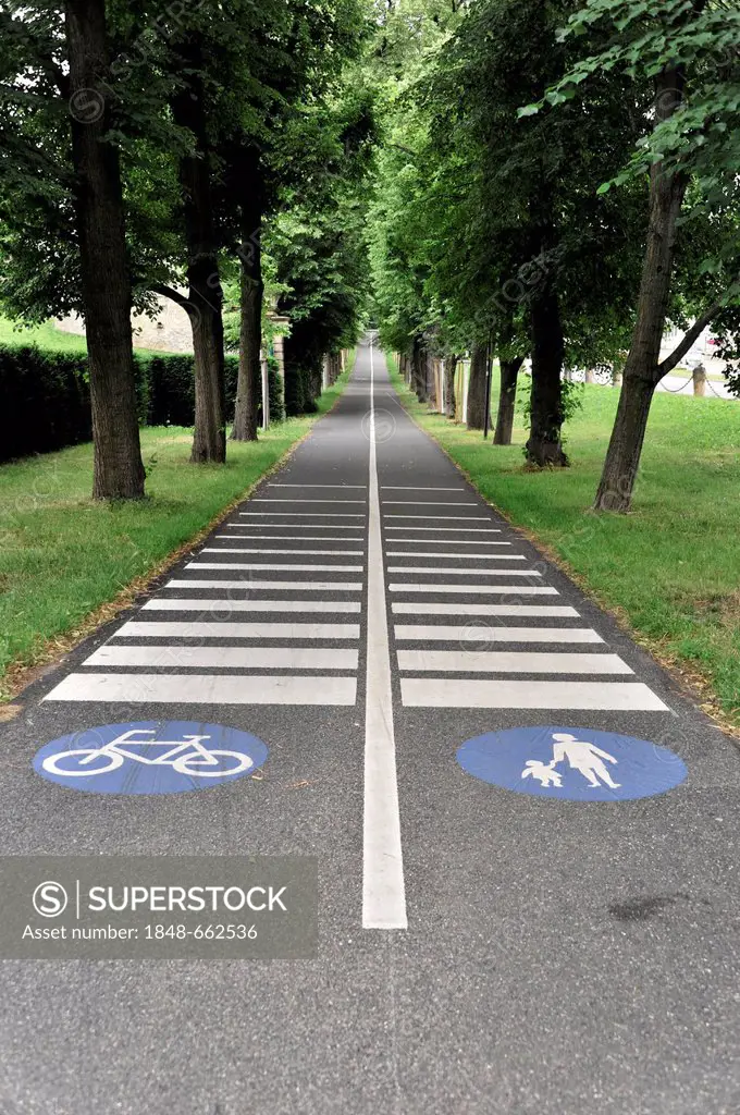 A cycle path and a pedestrian way, exemplary transport routes, Ludwigsburg, Neckar, Baden-Wuerttemberg, Germany, Europe