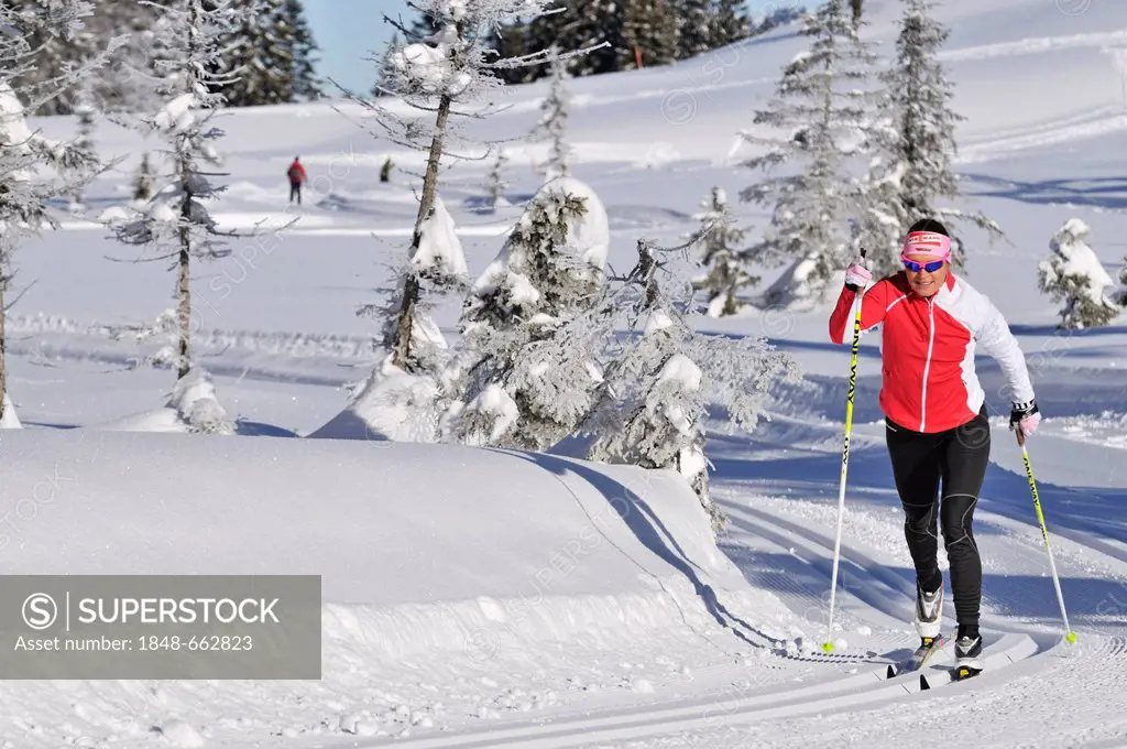 Evi Sachenbacher-Stehle, cross-country skiing, Hemmersuppenalm alp, Reit im Winkl, Chiemgau region, Bavaria, Germany, Europe