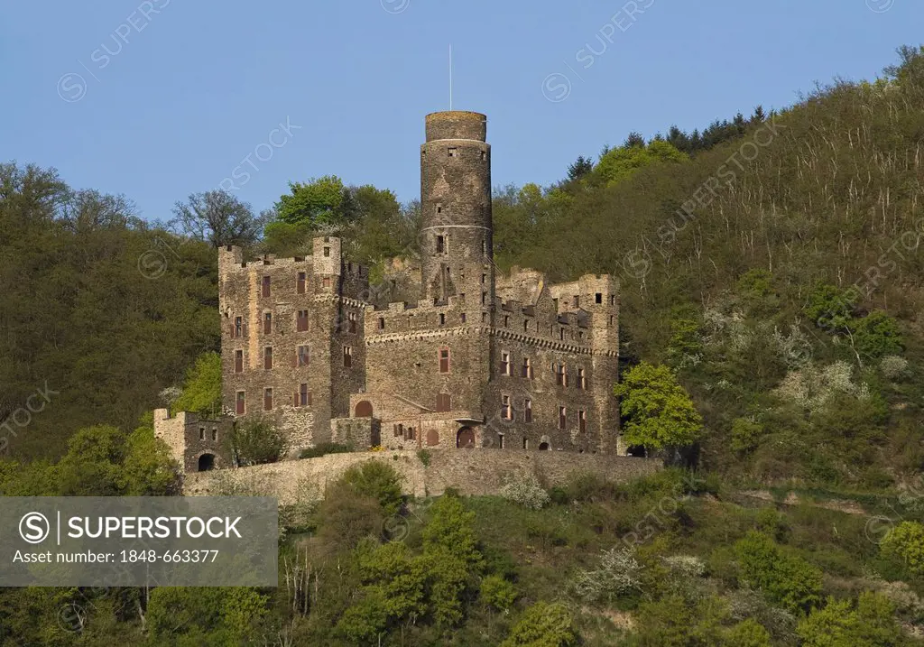 Burg Maus Castle, or Thurnberg or Deuernburg, Wellmich, St. Goarshausen, Unesco World Heritage Cultural Landscape, Upper Middle Rhine Valley, Rhinelan...