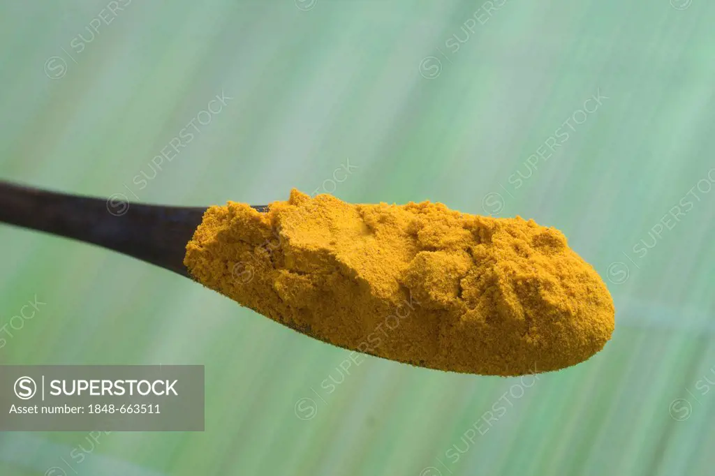 Curcuma powder on a spoon