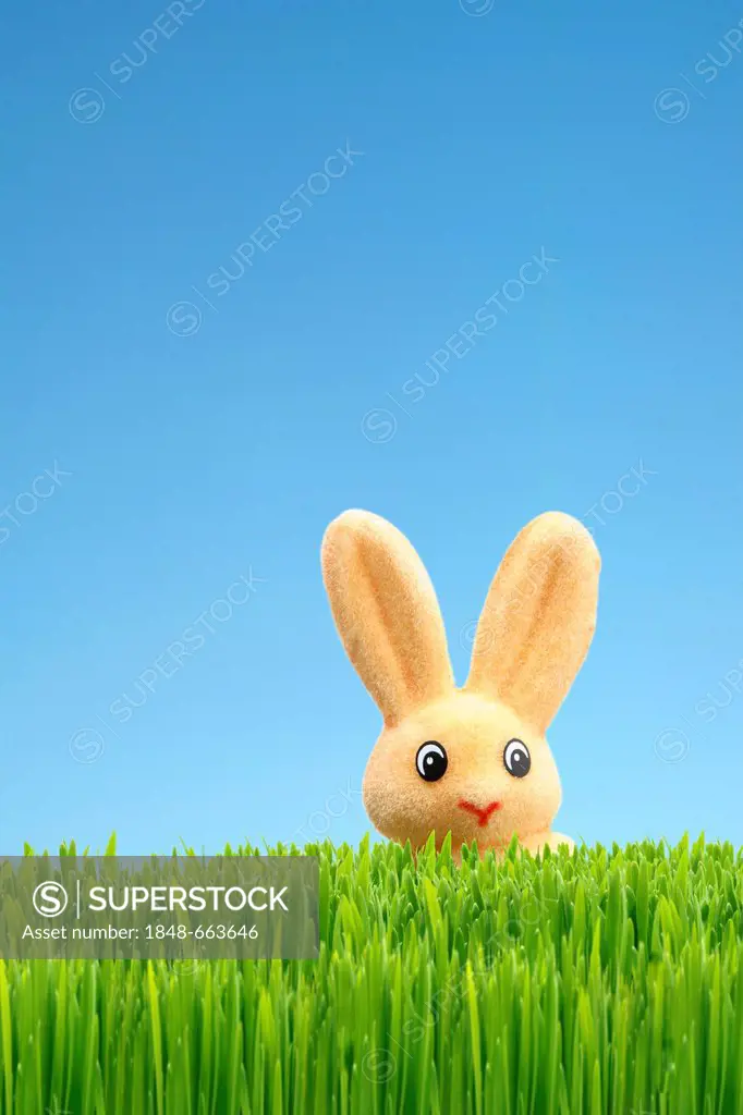 Easter bunny, Easter decoration, green grass, blue sky