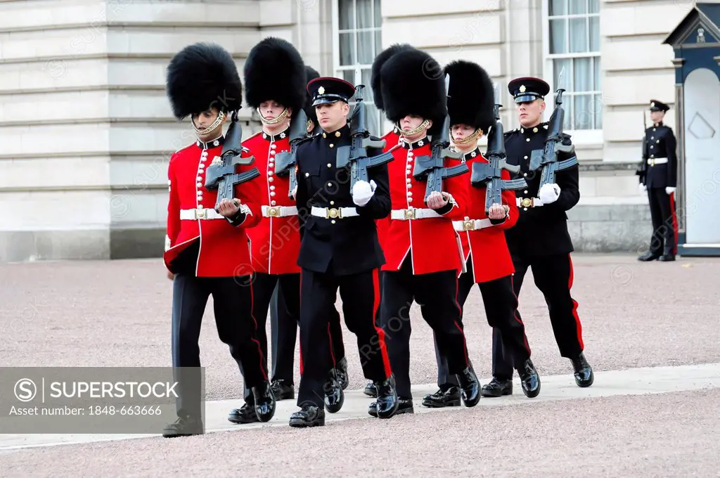 Royal Guard during the Changing of the Guard ceremony, Buckingham Palace, London, England, United Kingdom, Europe