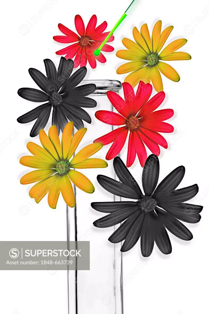 Droplets from a green pipette falling into a test tube, flowers in the national colours of Germany are formed
