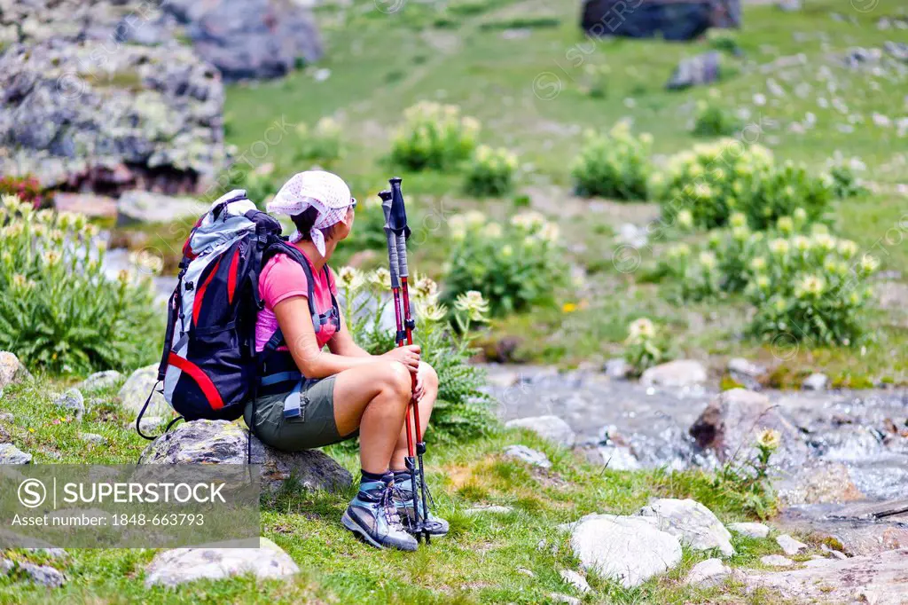 Hiker descending Mt Vertainspitze or Cima Vertana, Ortler mountain range, South Tyrol, Italy, Europe