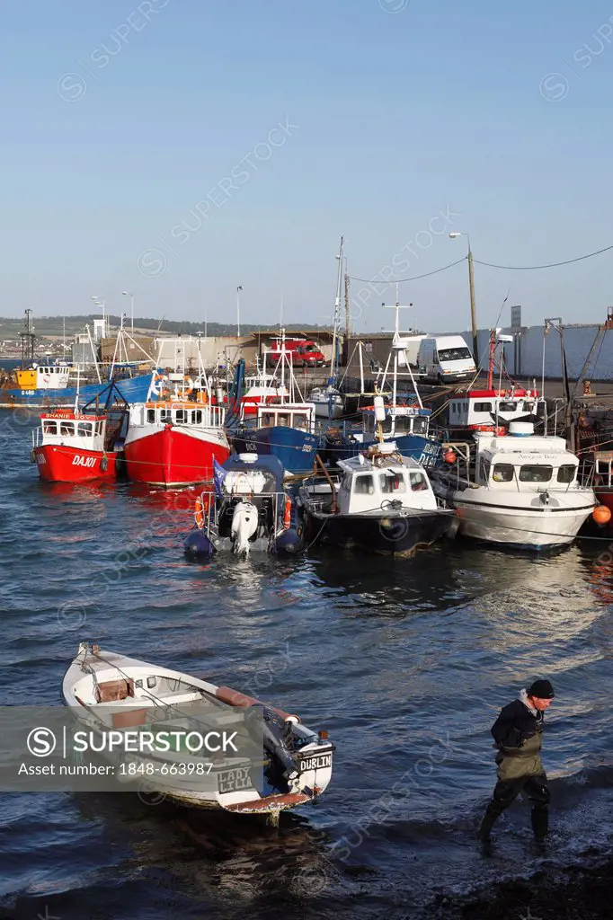 Boats in the fishing port, Skerries, County Fingal, Republic of Ireland, Europe