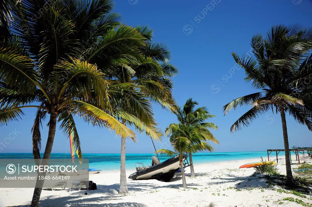 Beach with palm trees, Cayo Levisa island, Pinar del Rio province, Cuba, Greater Antilles, Gulf of Mexico, Caribbean, Central America, America