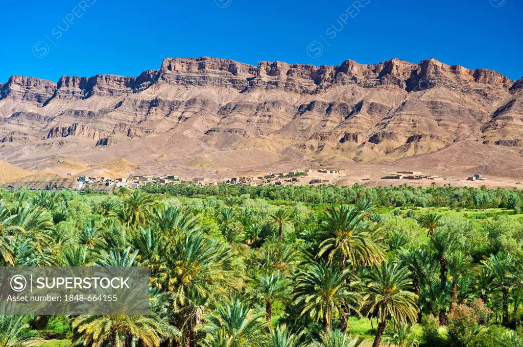 Draa-Valley with palm grove and small villages and the Djebel Kissane mountain, Agdz, Draa-Valley, Southern Morocco, Morocco, Africa