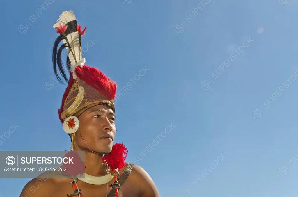 Phom warrior in full gear at the annual Hornbill Festival in Kohima, India, Asia