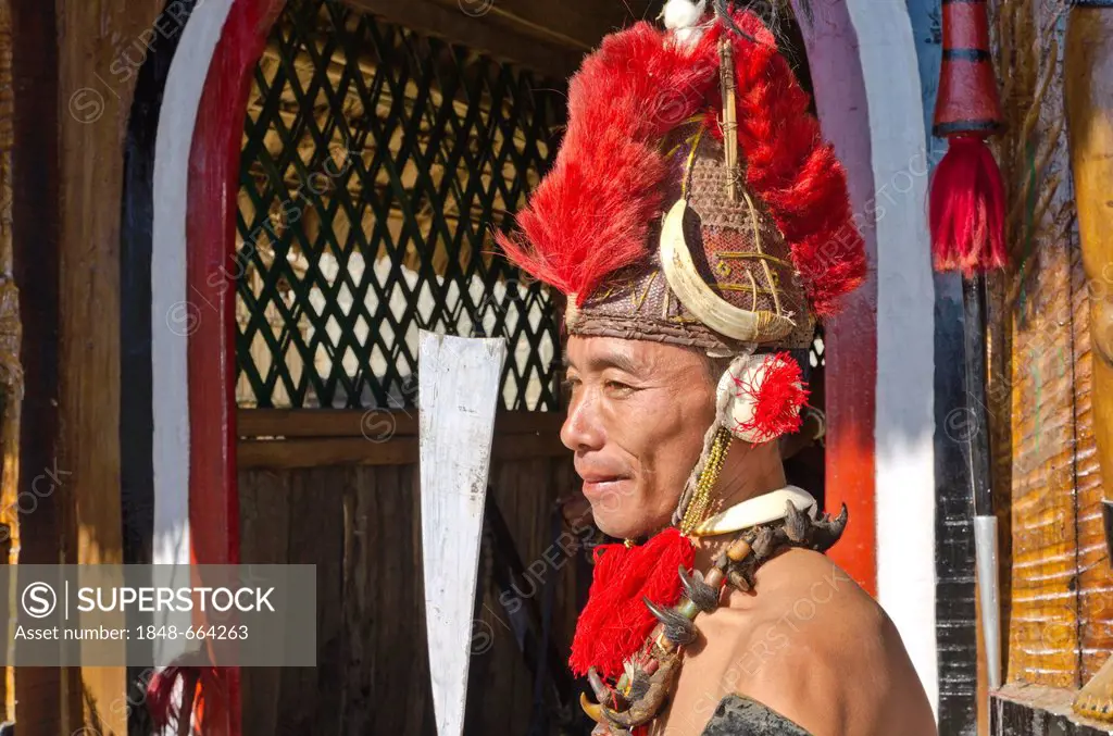 Phom warrior in full gear at the annual Hornbill Festival in Kohima, India, Asia