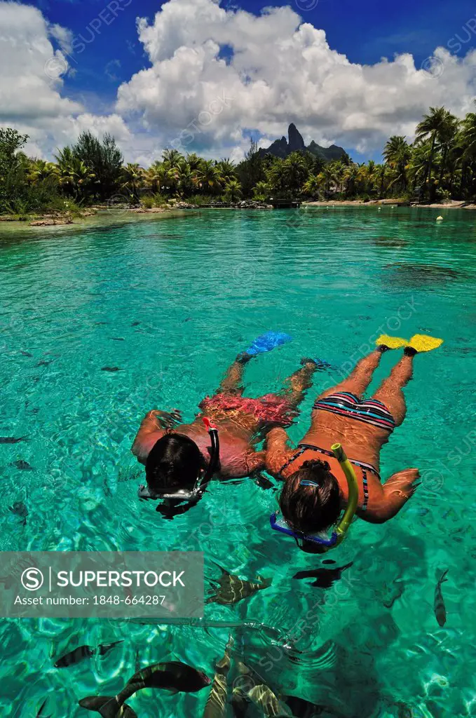 Snorkellers, St. Regis Bora Bora Resort, Bora Bora, Leeward Islands, Society Islands, French Polynesia, Pacific Ocean