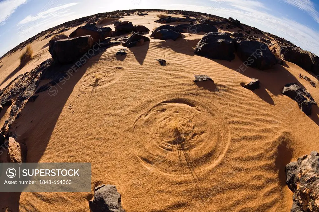 Blades of grass drawing circles in the sand, stone desert, Black Desert, Libya, Africa