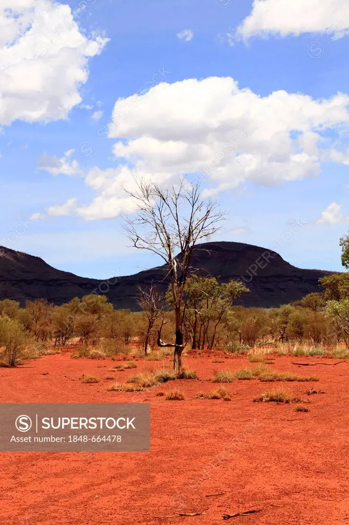Outback landscape, Pilbara, Western Australia, Australia
