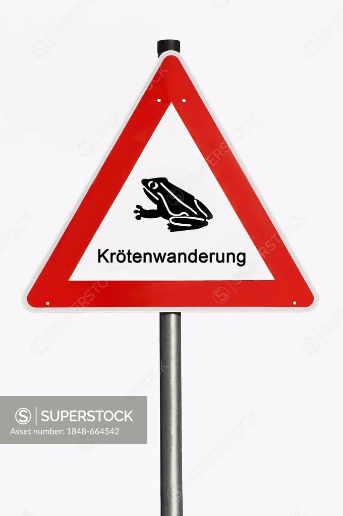 Danger sign, toad migration, toad pictogram