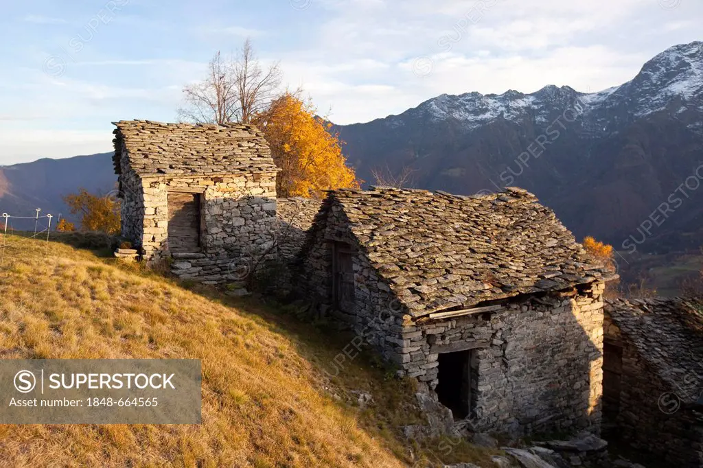 Traditional stone farm houses, Rustico, fall, near Lionza, Tessin, Switzerland, Europe