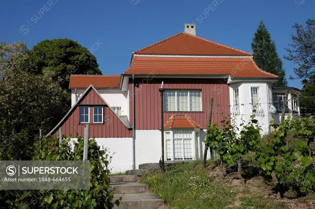 Max Klinger House, Max Klinger vineyard, memorial, Naumburg, Saxony-Anhalt, Germany, Europe