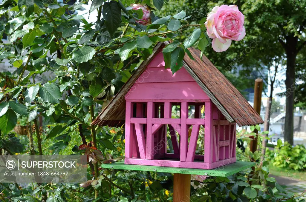 Pink bird house in a rose garden