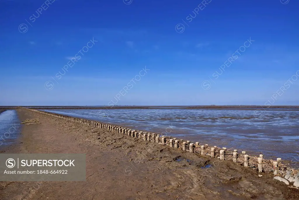 View across the Wadden Sea with coastal protection, groynes, halligen, small islands, at back North Sea shore, Schleswig-Holstein Wadden Sea National ...