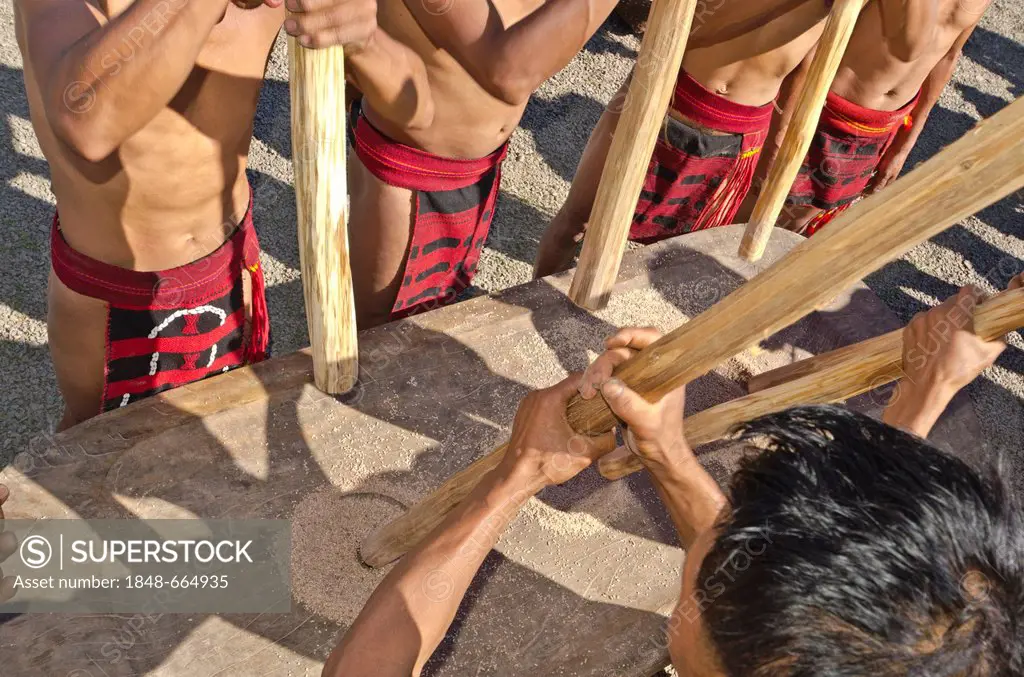 Members of the Samdom tribe show their traditional way of crushing crops at the annual Hornbill Festival, Kohima, Nagaland, India, Asia