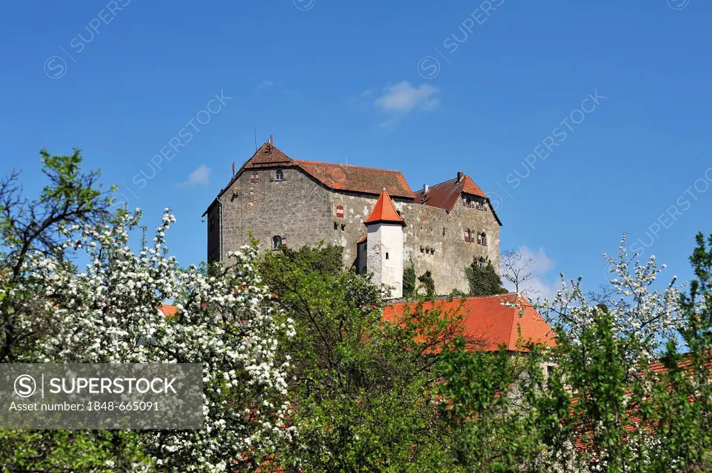 Burg Hiltpoltstein Castle, 1595, flowering fruit trees at front, Hiltpoltstein, Upper Franconia, Bavaria, Germany, Europe