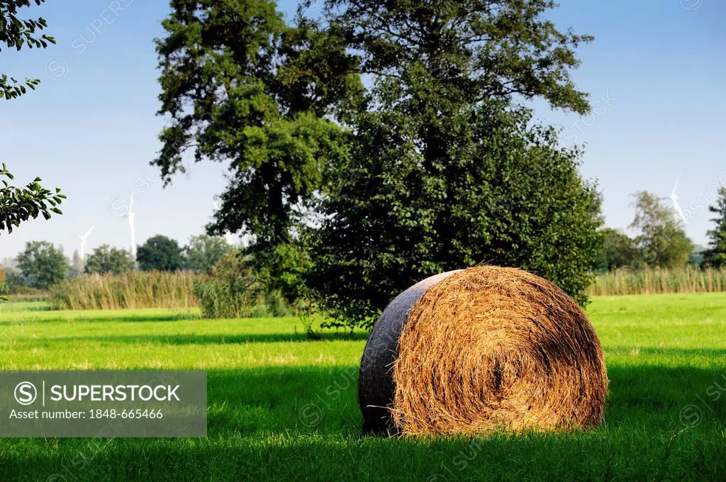 Hay roll lying on a field, Vier- und Marschlande, Hamburg, Germany, Europe