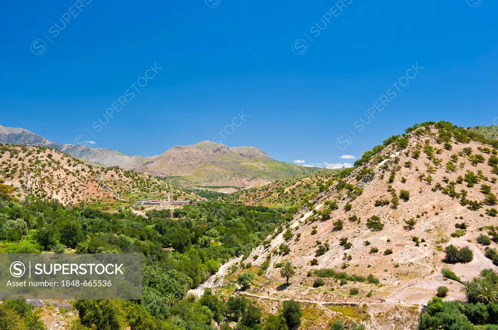 Mountain landscape in the High Atlas Mountains covered with Argan Trees (Argania spinosa), Tizi-n-Test Mountain Pass Road, southern Morocco, Morocco, ...