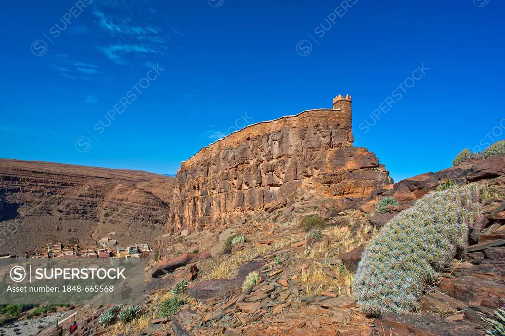 Fortified granary, Agadir Id Aissa, on a cliff top, right, Resin Spurge (Euphorbia resinifera), town of Amtoudi in the valley, Anti-Atlas Mountains, s...