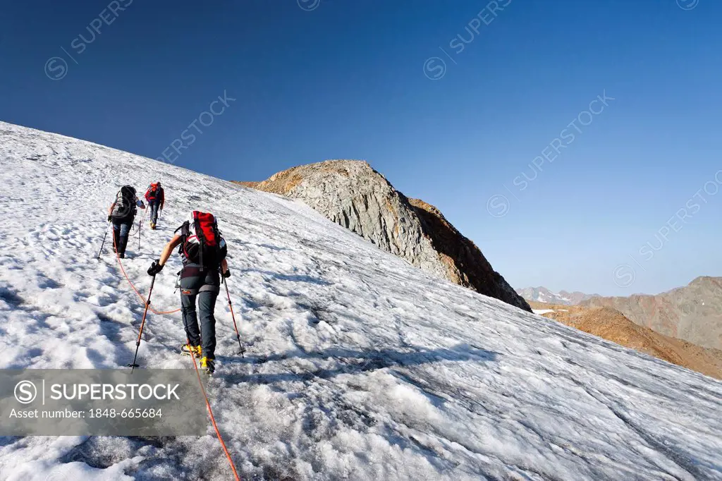Hikers during the ascent to Similaun Mountain on Niederjochferner Glacier in Senales Valley, Alto Adige, Italy, Europe
