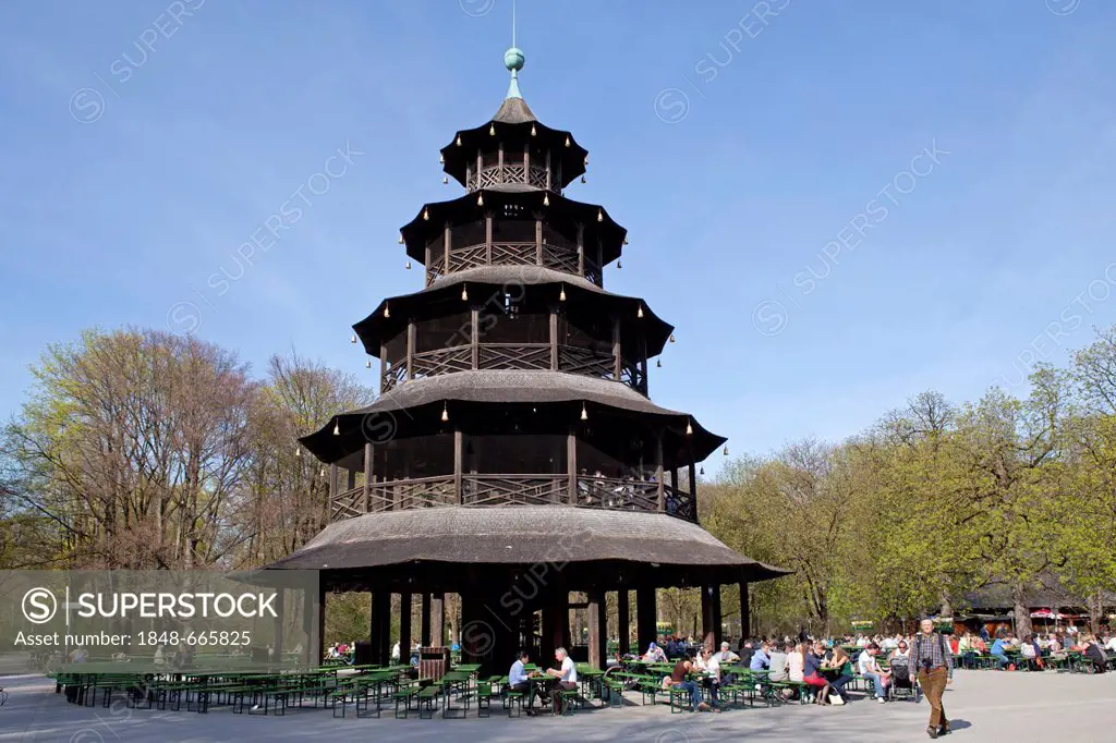 Chinese Tower, English Garden, Munich, Bavaria, Germany, Europe