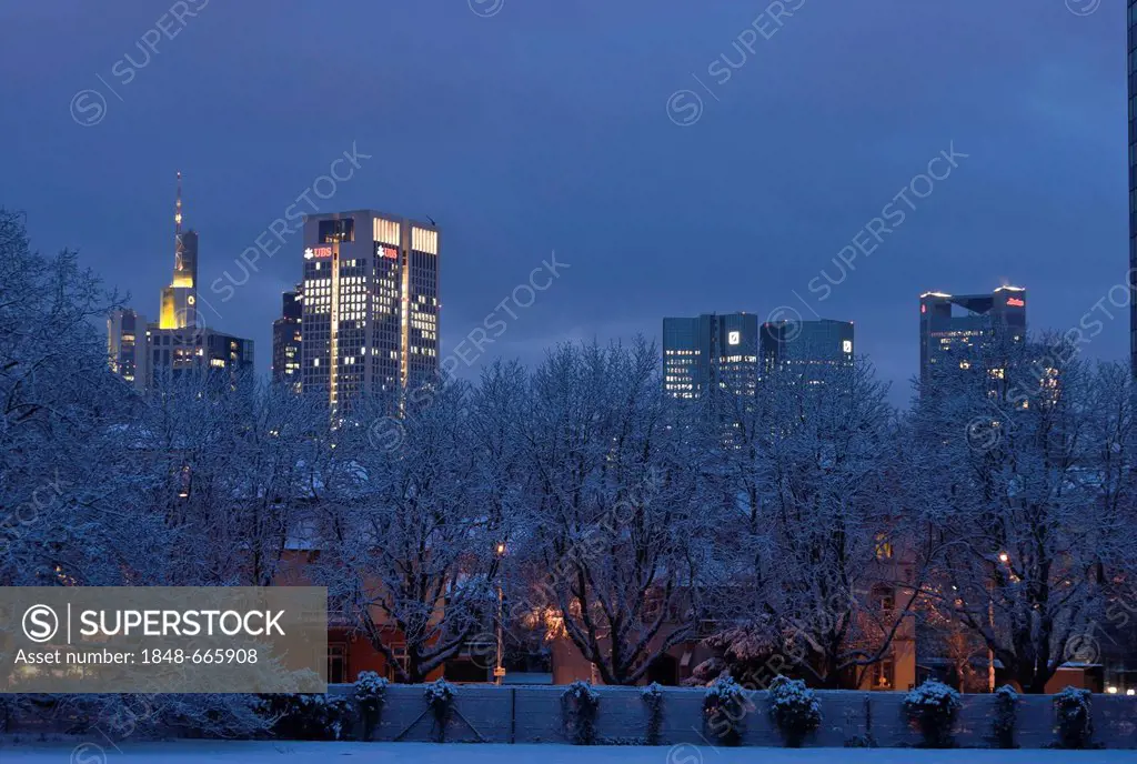 Wintry morning with skyscrapers, Commerzbank Tower, Park Tower, Opernturm tower, German Bank I and II, Trianon, Westend, Frankfurt, Hesse, Germany, Eu...