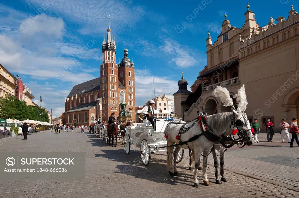 Horse-drawn carriage in front of St. Mary's Church, Rynek market square, Krakow, Malopolska, Poland, Europe