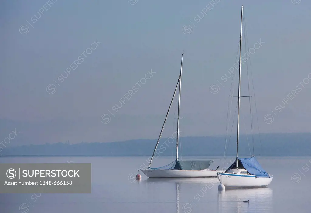 Two sailing boats in light morning fog, Diessen on lake Ammersee, Bavaria, Germany, Europe