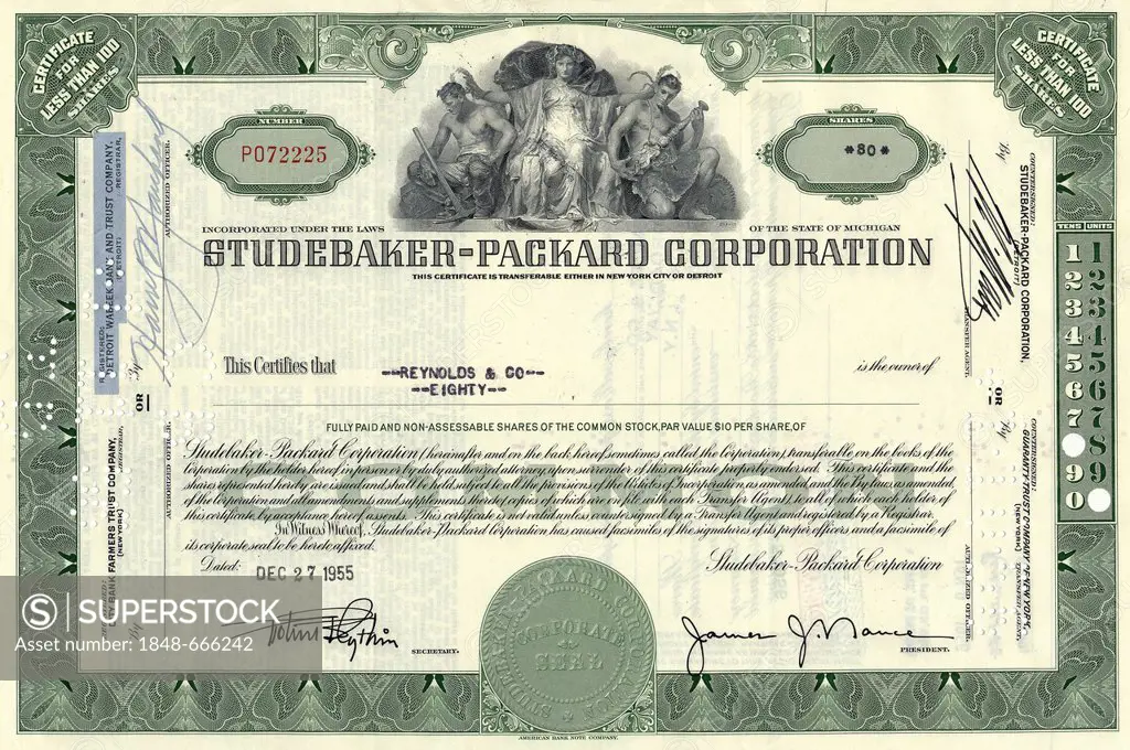 Historical stock certificate, automobile manufacturers, Studebaker-Packard Corporation, 1955, New York, USA
