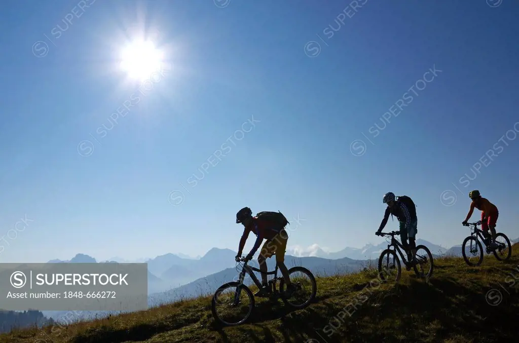 Mountain bikers during the ascent of Mt Mittelberg, Hugeligrat ridge, Saanen, Gstaad, Municipality of Saanen, Bernese Oberland, Switzerland, Europe