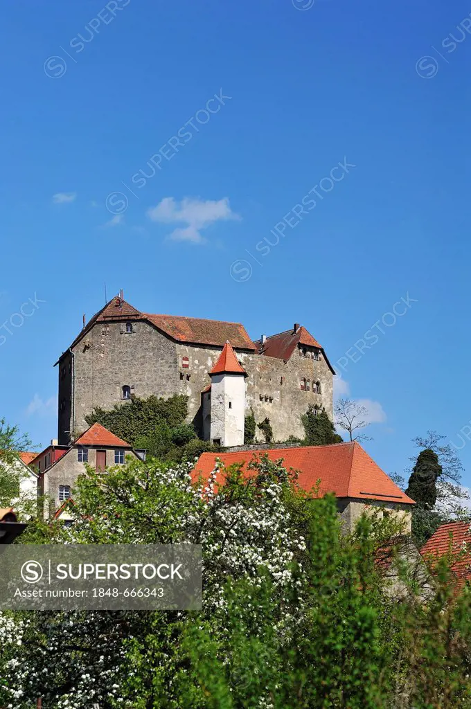 Burg Hiltpoltstein Castle, 1595, with flowering fruit trees at front, Hiltpoltstein, Upper Franconia, Bavaria, Germany, Europe