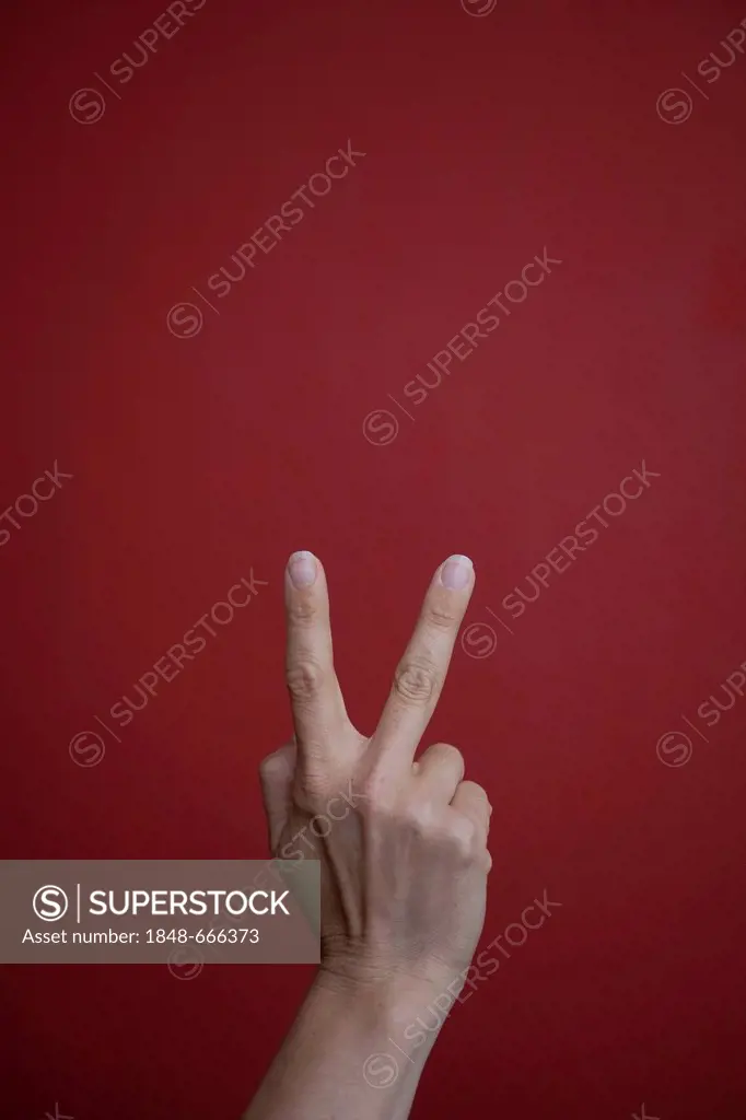 Victory sign, hand sign