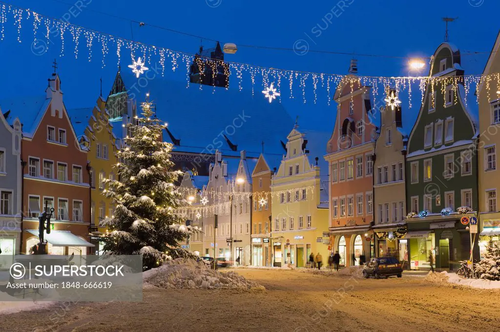 Christmas tree in winter, old town, Landshut, Lower Bavaria, Bavaria, Germany, Europe