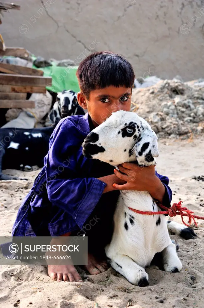 Boy with a goat, village of Basti Lehar Walla, Punjab, Pakistan, Asia