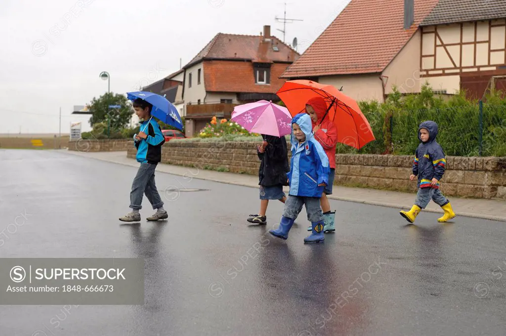 Five children, 3 to 8 years, crossing the street in the rain, Assamstadt, Baden-Wuerttemberg, Germany, Europe