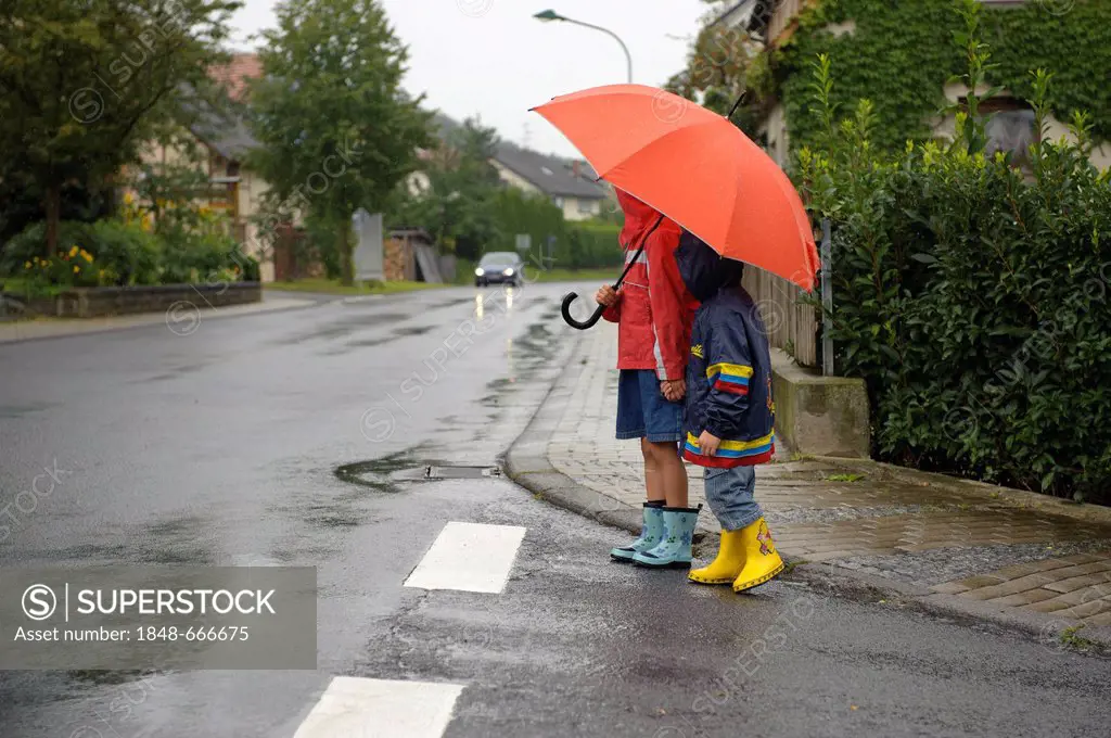 Two children, 3 and 7 years, crossing the street in the rain, Assamstadt, Baden-Wuerttemberg, Germany, Europe